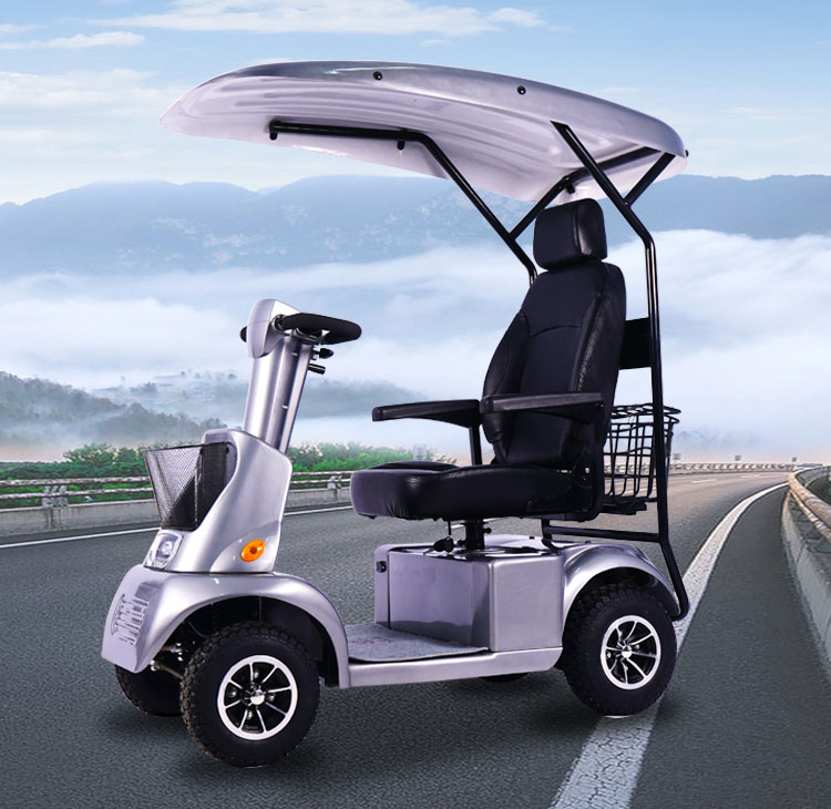 Electric Golf Cart M1